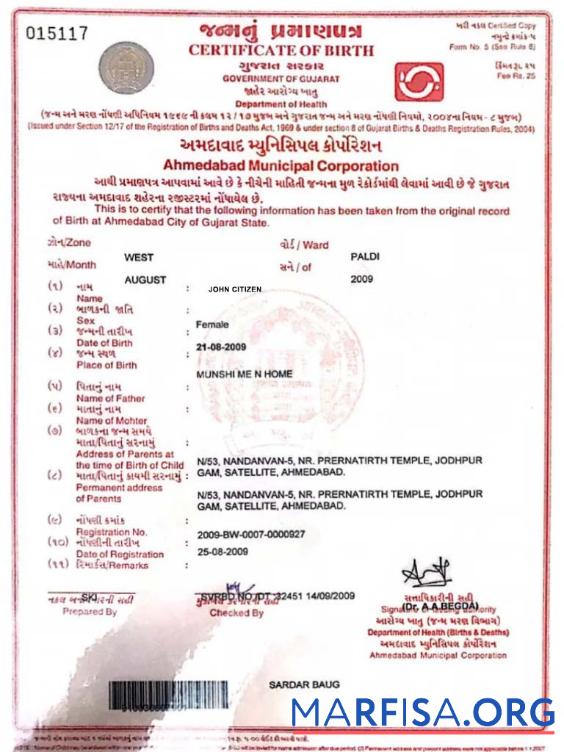 Blank India Department of Health birth certificate example